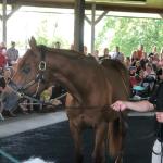 2019_OTRA_0580 (September 01, 2019)